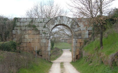 Between Falerii Novi and the Amerina Street, here there is the ancient kingdom of Falisci