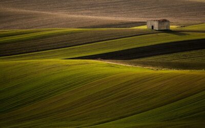 Una Murgia ancestrale tra dinosauri, bauxite e preistoria