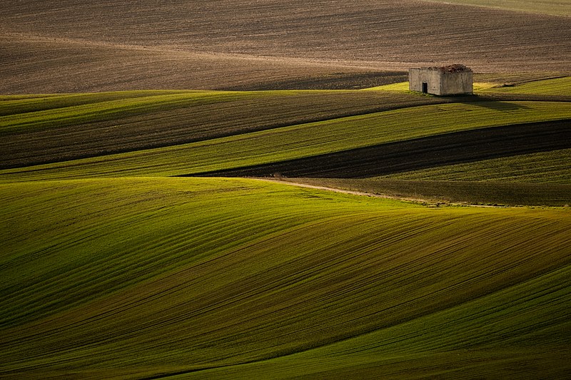 Una Murgia ancestrale tra dinosauri, bauxite e preistoria Fuoriporta