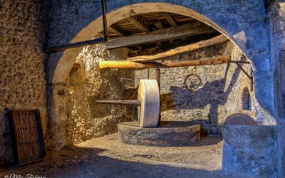 Castelnuovo di Farfa e il suo Museo dell’Olio