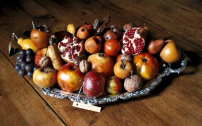 Un tuffo nel passato al Museo della Frutta di Torino