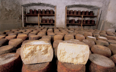 On tour among the delicious Barbagia cheeses – Sardegna