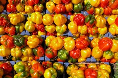 Peperonata classica alla Carmagnolese