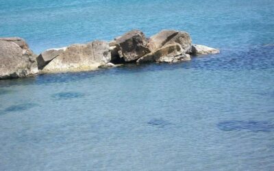 Zapponeta: dal centro storico alle spiagge selvagge