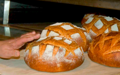 Ramacca, la Sicilia tra il grano e il pane