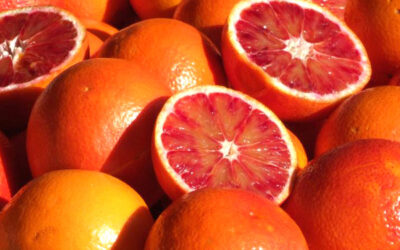 Insalata di arance siciliane