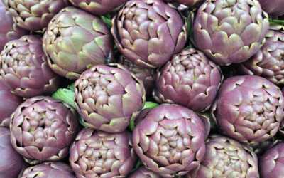 Carciofi con bucatini alla fasanese