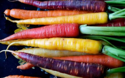 Rondelle di carote di Polignano al forno