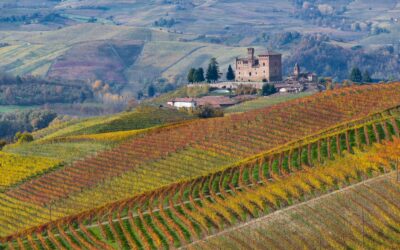 In bicicletta tra i Castelli del Barolo e le strade dei pellegrini