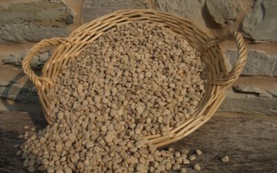 Cicerchiole co’ li cici da Montelibretti