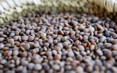 Zuppa di lenticchie di Rascino e salsiccia