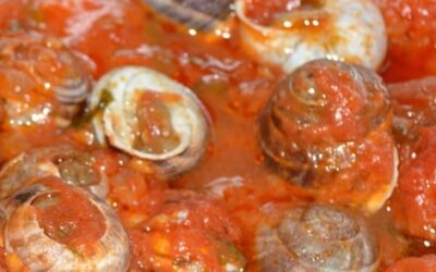 Le lumache al sugo di Cantalupo di Bevagna