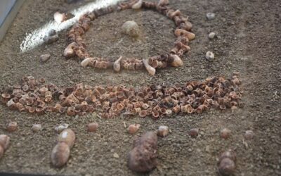 Il Museo dei Balzi Rossi a Ventimiglia, un viaggio nella Preistoria