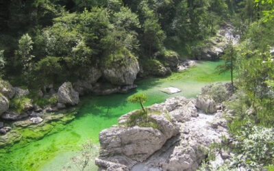 Le pozze smeraldine, un bagno indimenticabile ai piedi delle Dolomiti!