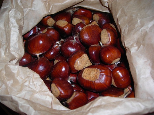 spezzatino-castagne-e-funghi-3-1600×1200 Speciale_Autunno_Fuoriporta
