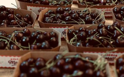 Vignola (MO), Sagra delle ciliegie – 31 mag/8 giu