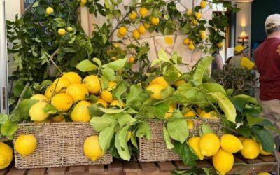 Monterosso al mare (SP), Sagra del limone – 16/17 mag
