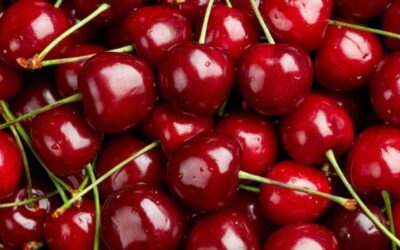 Villanova sull’Arda (PC), festa delle ciliegie – 28 mar/12 apr