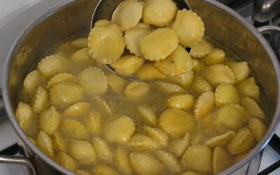 Anolini, piccoli grandi eroi della tavola emiliana