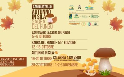 Camigliatello Silano (CS), Fungo in sagra – 19 ott/3 nov