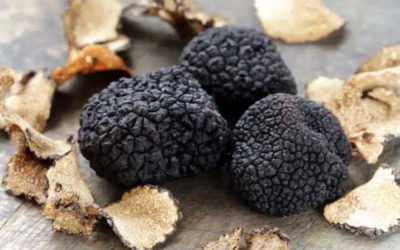 Norcia (PG), è festa del nero – 27 feb/1 mar