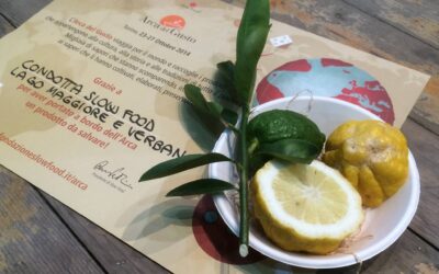 Cannero (VB), è festa degli agrumi – 6/8 mar