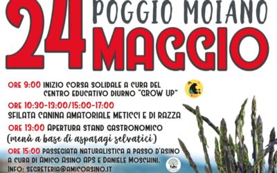 Poggio Moiano (RI): il 24 maggio è 19° Sagra dell’Asparago selvatico