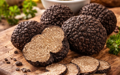 Sieci (FI), è sagra del tartufo 18/19 apr