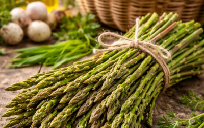 Pietrafitta (PG), Sagra degli Asparagi di Bosco – 24 apr/3 mag