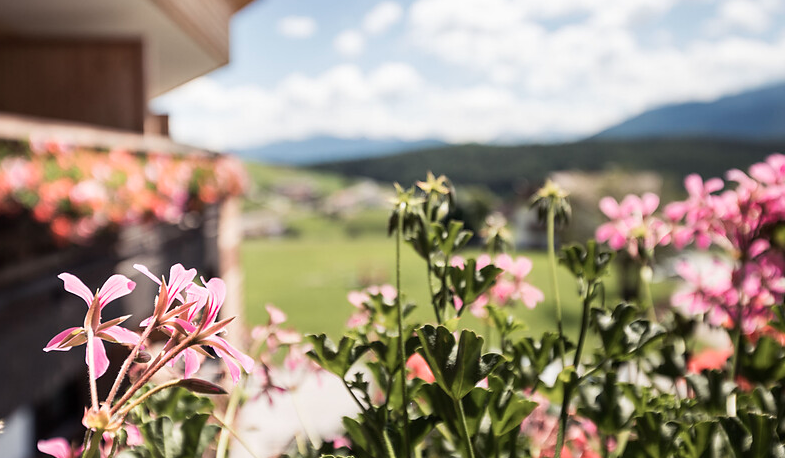 Rio di Pusteria (BZ), Malghe in fiore – 16 mag/6 giu – Fuoriporta Rio di Pusteria (BZ), Malghe in fiore - 16 mag/6 giu - Fuoriporta
