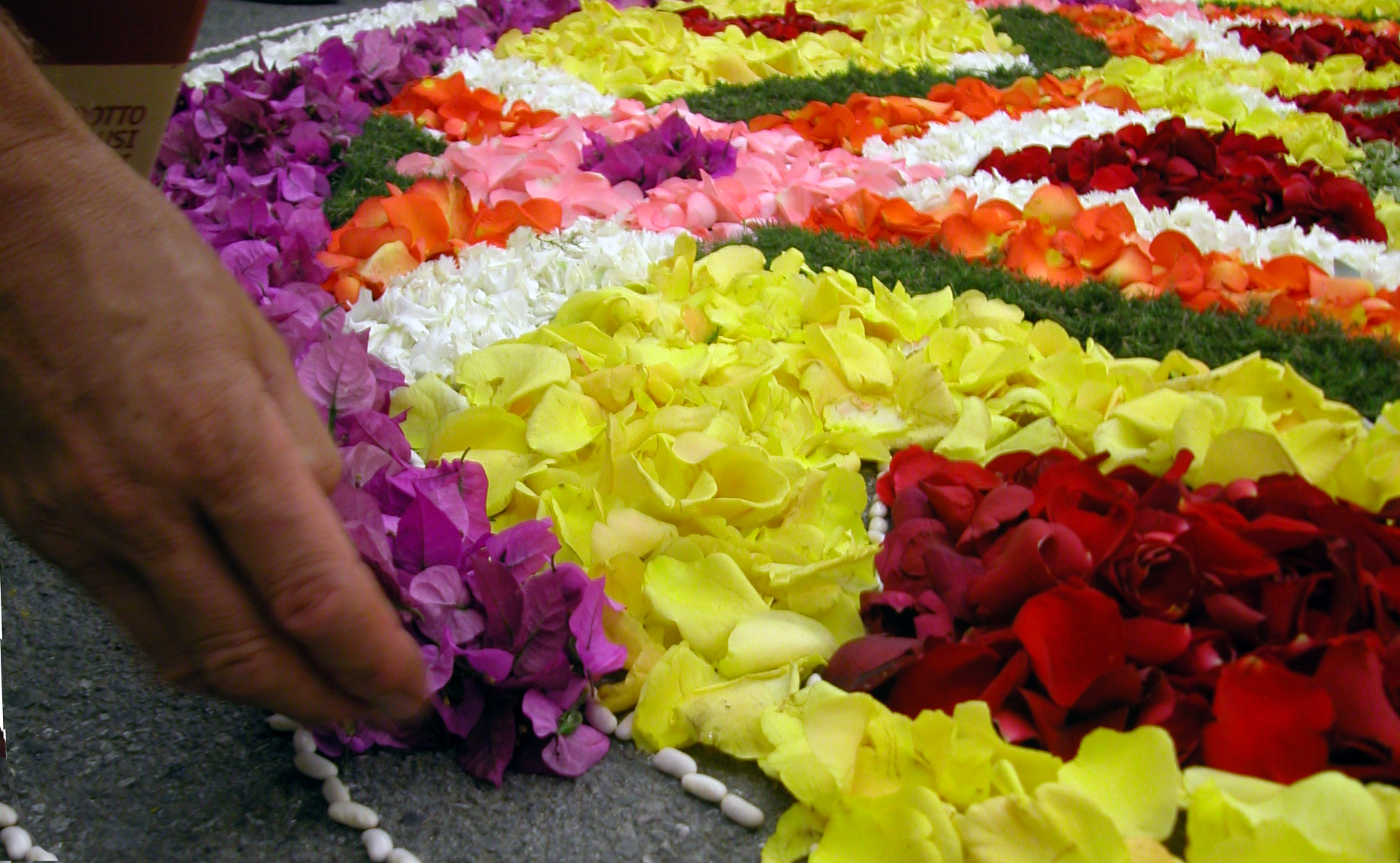 Poggio Moiano (RI), prende vita l’infiorata del Sacro Cuore – 26/28 giu Fuoriporta Poggio Moiano (RI), prende vita l'infiorata del Sacro Cuore – 26/28 giu Fuoriporta