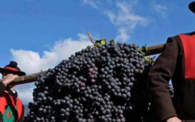 Merano (BZ) è festa dell’uva – 16/18 ott