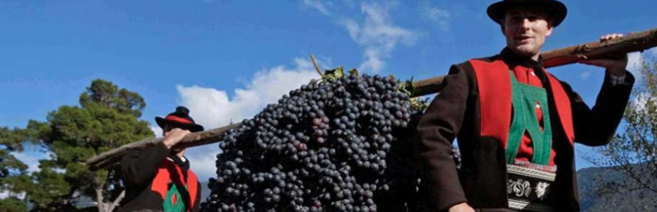 A Merano l’autunno profuma di vendemmia. Dal 16 al 18 ottobre 2026, la città altoatesina A Merano l’autunno profuma di vendemmia. Dal 16 al 18 ottobre 2026, la città altoatesina