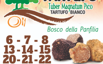 Sant’Agostino (FE), Sagra del Tuber Magnatum Pico – 6/22 NOV